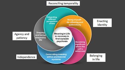 Meaning in Life in Long-Term Recovery in First-Episode Psychosis: An Interpretative Phenomenological Analysis